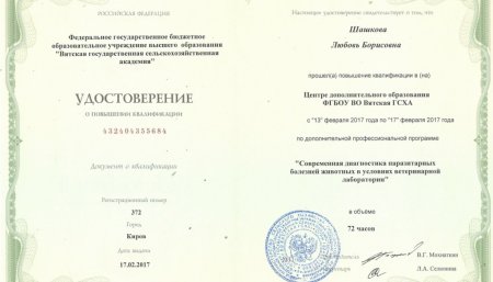 Cотрудник ГБУ НО 